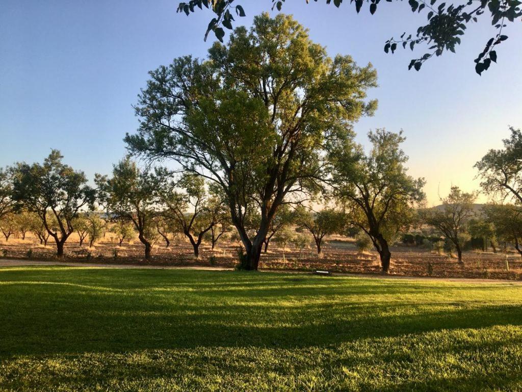 Finca El Relax Colmenar de Oreja المظهر الخارجي الصورة